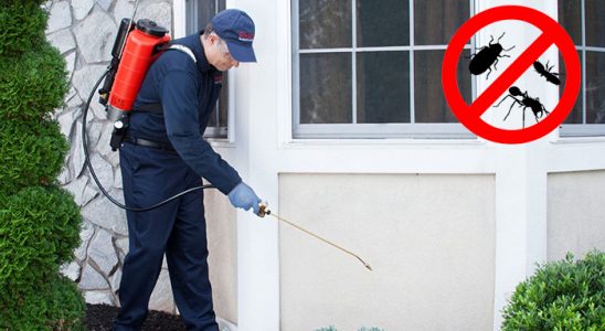 Villakent Haşere İlaçlama böcek ilaçlama ve haşere kontrolü — ilaclama-tr.com